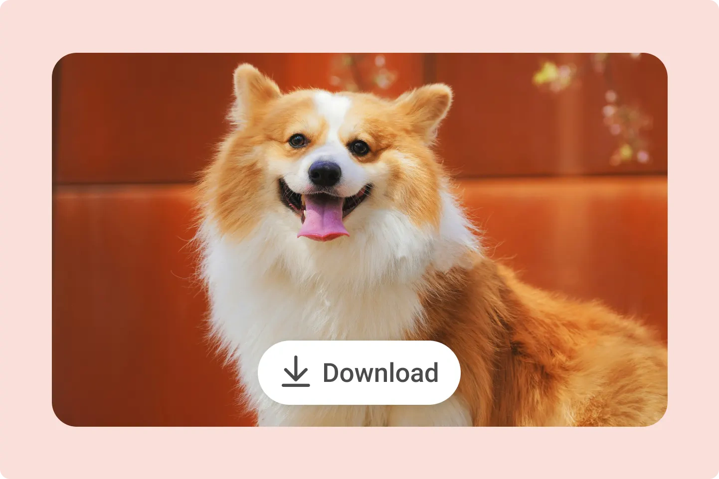 Review and download an authorized cleaned image