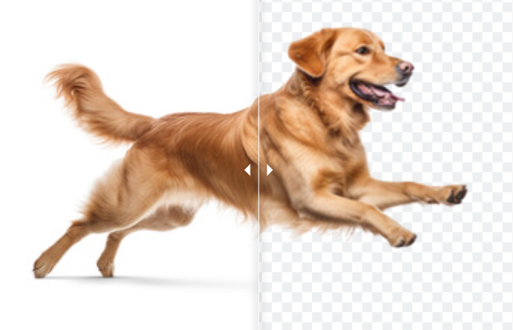 Dog before and after its white background is removed